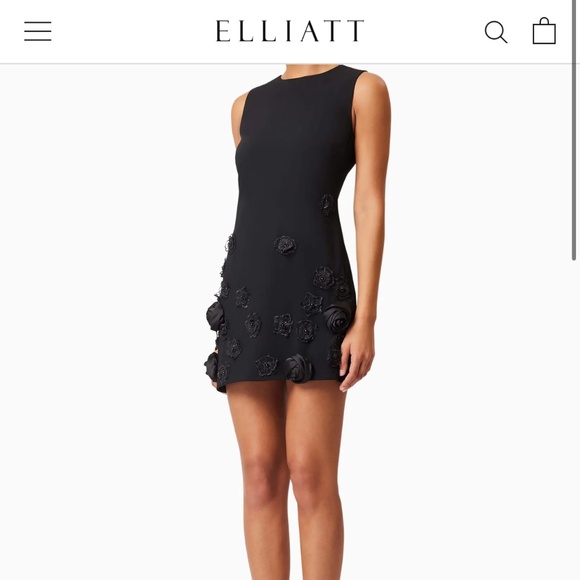 Elliatt Lilydale Shift Mini Dress In Black - Picture 3 of 5